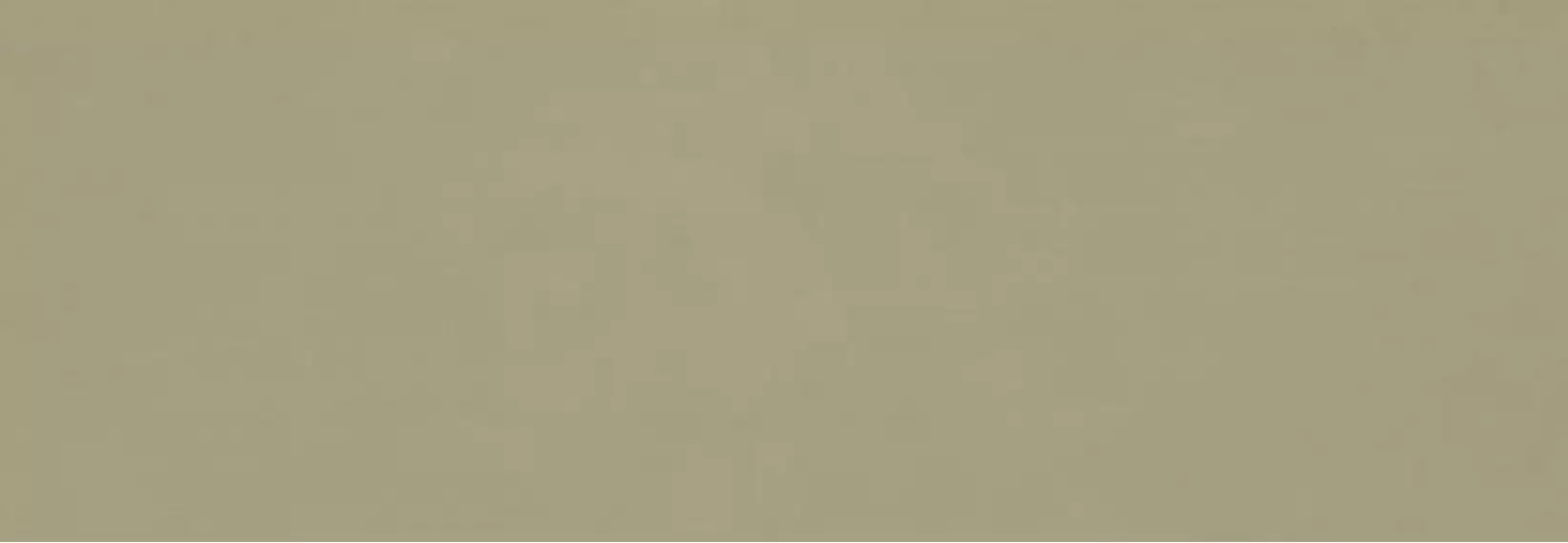 RA6E Плитка Vida Verde Rett 30x90